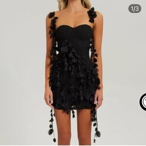 Heiress Beverly Hills Dress Size Small! Such a pretty dress!